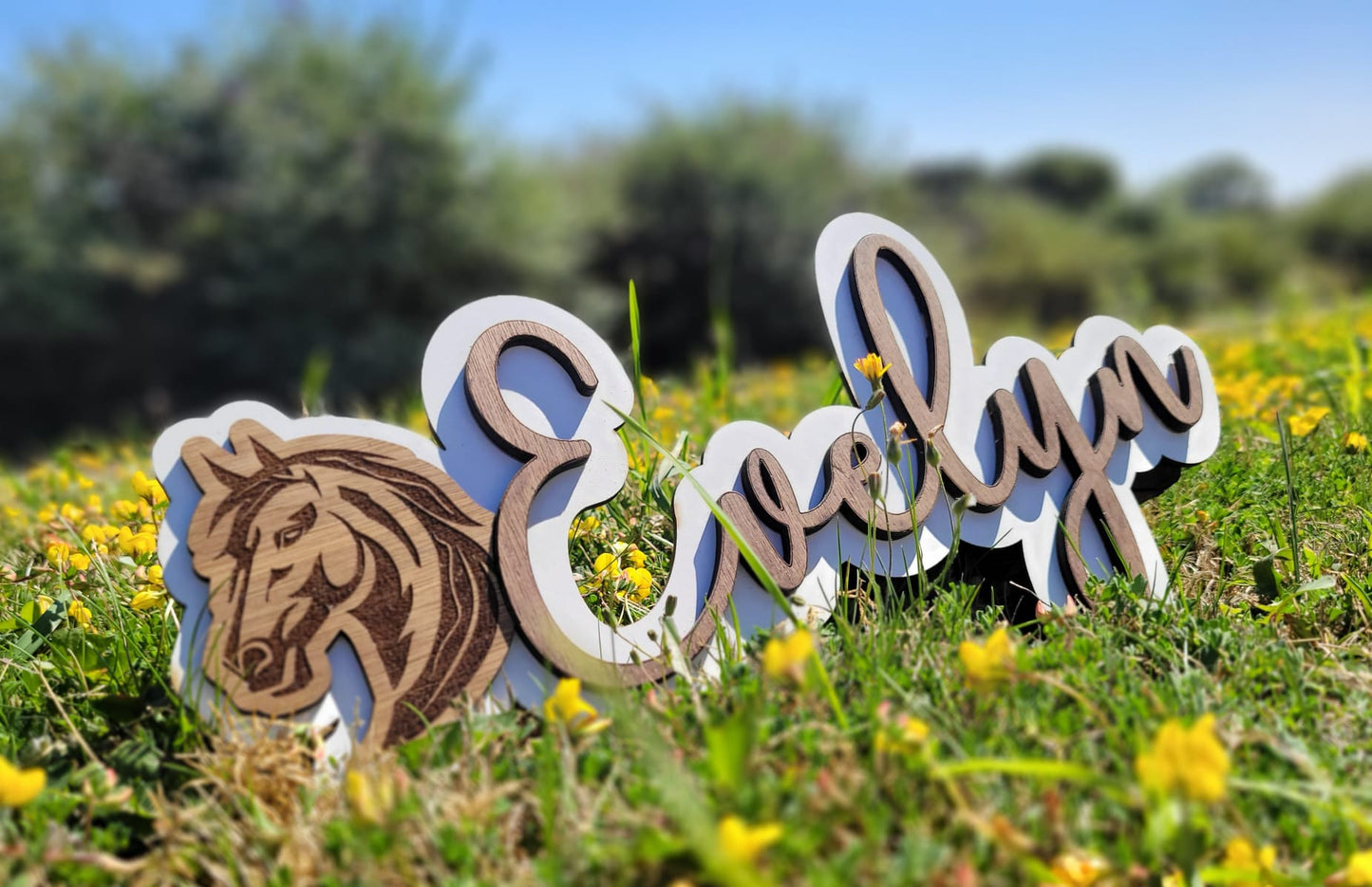 Personalised Girls' Name Sign - Customised Bedroom Door or Wall Decor