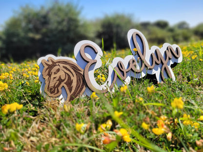 Custom laser engraved girls bedroom name sign on wood – personalised door or wall plaque handmade in Devon UK